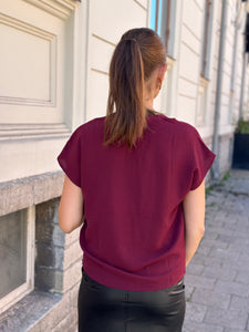 JDY - LION LIFE TOP - MAROON BANNER