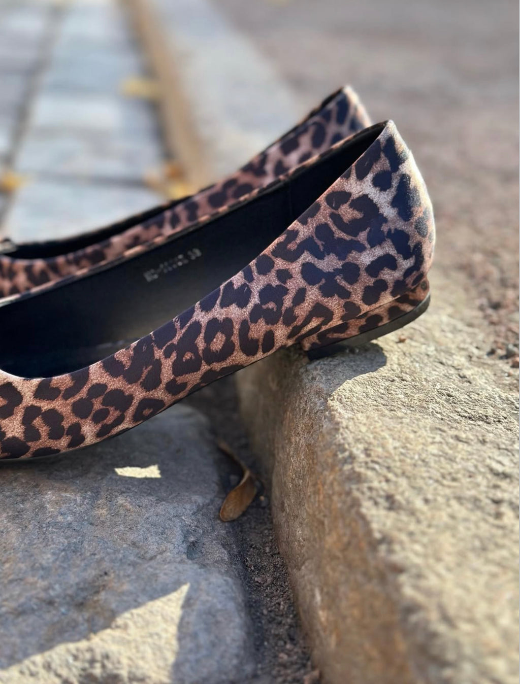MARTA - H8-1030E - LEOPARD