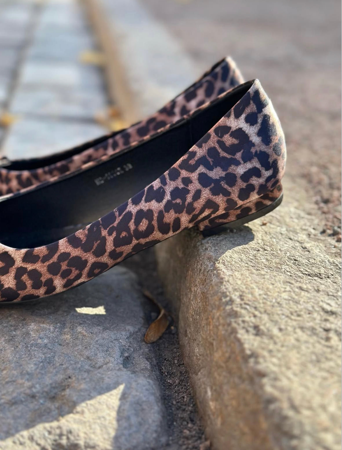 MARTA - H8-1030E - LEOPARD